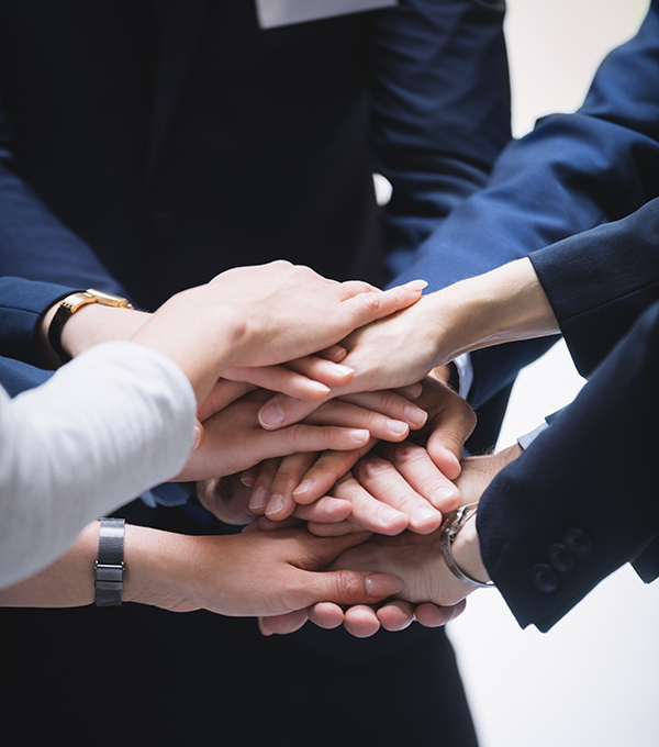 蘑菇视频免费版在线观看版衛浴